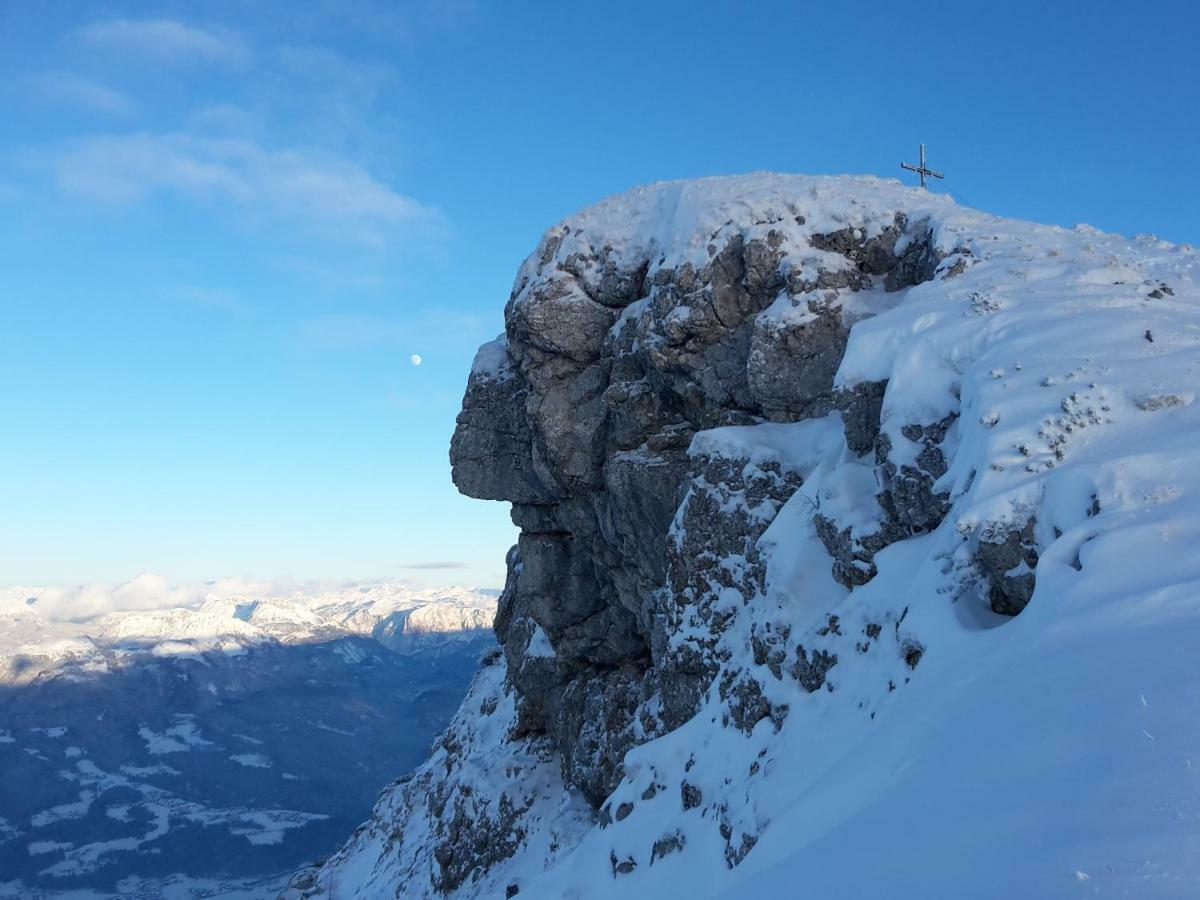 Ferienwohnungen ARIKOGEL Bad Goisern am Hallstättersee Exterior foto