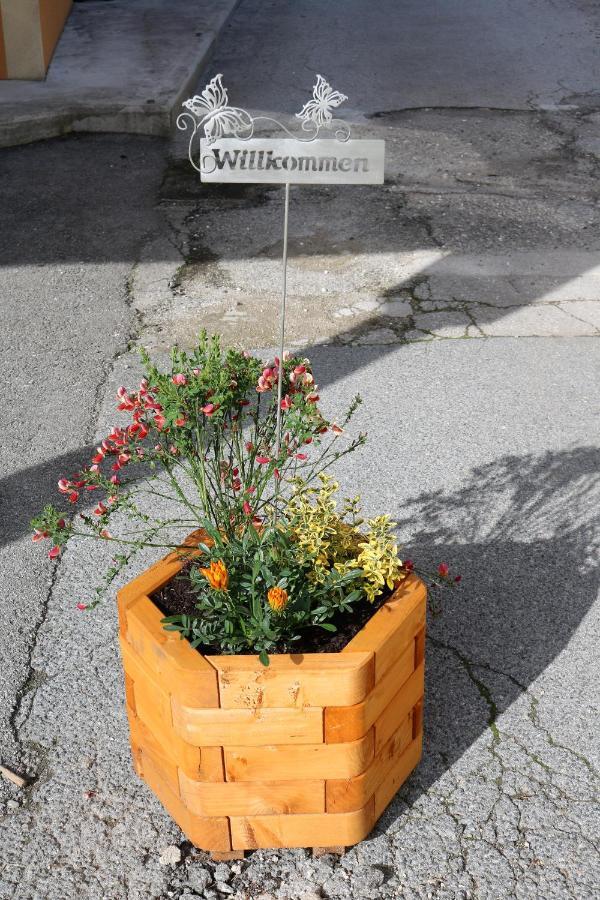 Ferienwohnungen ARIKOGEL Bad Goisern am Hallstättersee Exterior foto